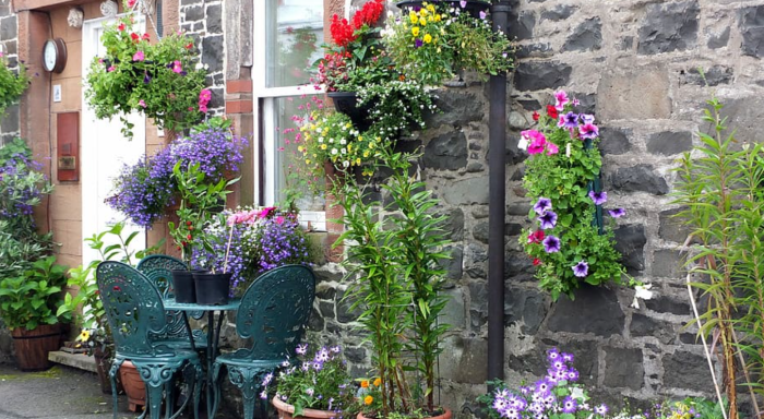 Vertikaler garten wohnzimmer