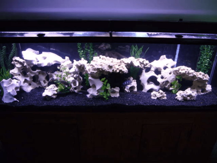 Montanablack aquarium wohnzimmer liter