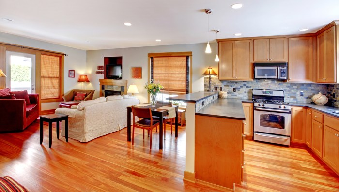 Kitchen dining livingroom homestratosphere